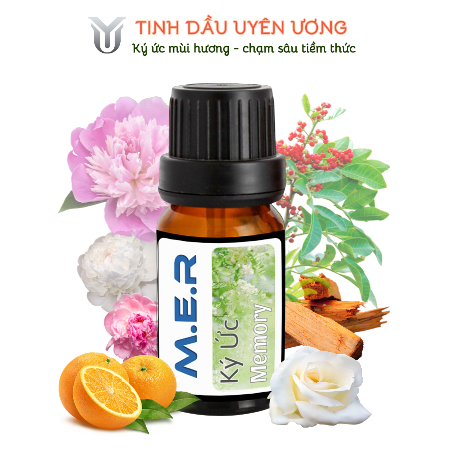 Thiết Kế Của Lọ Tinh Dầu Thiênhiên