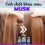 Serum Tinh Chất Giữ Màu Tóc Nhuộm, Phục Hồi Tóc Musk | Made in Germany | 10ml x 10