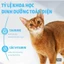 Tặng 4 súp thưởng_Hạt MR.VET cho mèo - Túi 1kg
