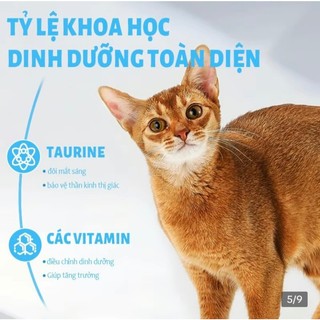 [Hỏa Tốc] Tặng 4 súp thưởng_Hạt MR.VET cho mèo - Túi 1kg