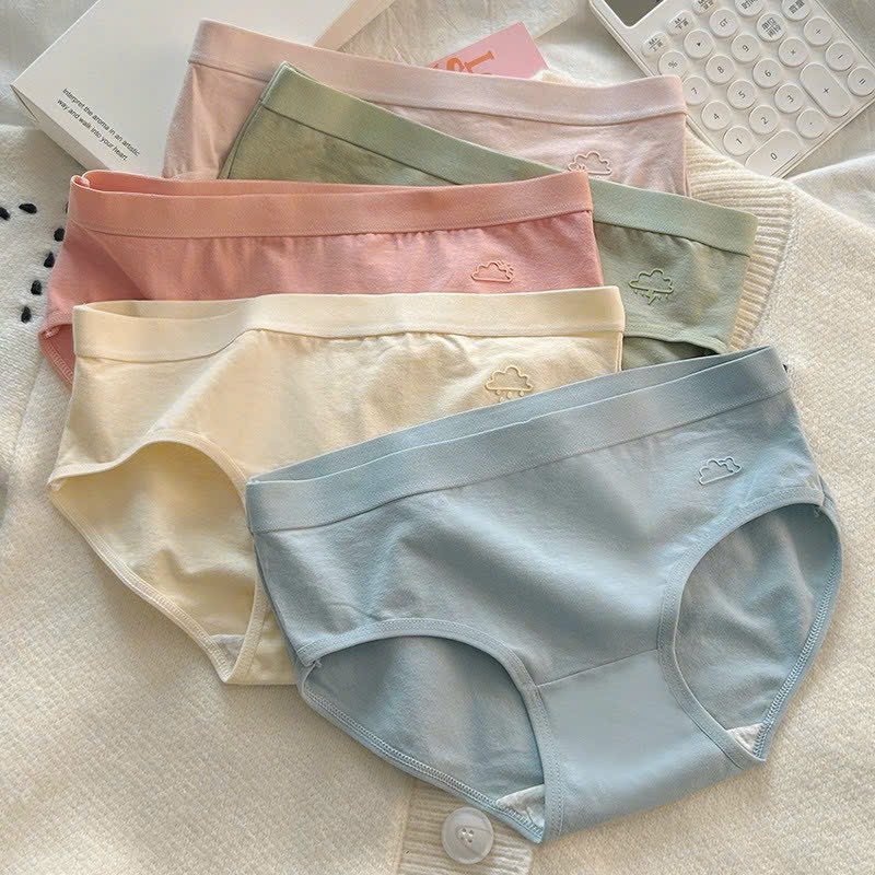 QUẦN LÓT COTTON HOẠ TIẾT IN NỔI 💕 MS2389