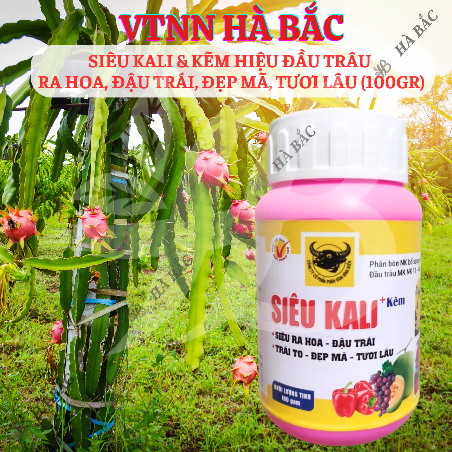 Phân Bón Lá Siêu Kali & Kẽm Hiệu Đầu Trâu  Ra Hoa, Đậu Trái, Đẹp Mã, Tươi Lâu (Hũ 100gram)