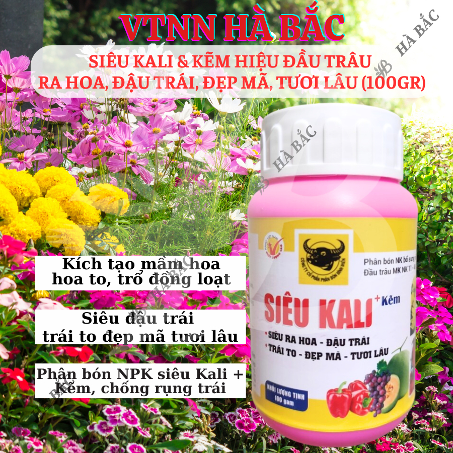 Phân Bón Lá Siêu Kali & Kẽm Hiệu Đầu Trâu  Ra Hoa, Đậu Trái, Đẹp Mã, Tươi Lâu (Hũ 100gram)