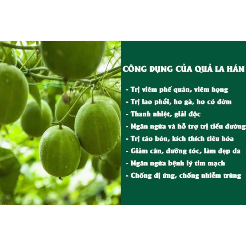 ( HÀNG TO LOẠI 1 ) Set 10-20 Quả La Hán Sấy Khô Nguyên Quả Hỗ Trợ Thanh Nhiệt, Giảm Đau Họng, Cải Thiện Tiểu Đường