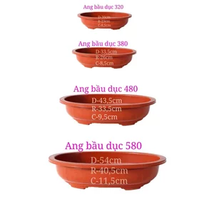 Ang bầu dục hàng nhập khẩu dày dặn có nhiều size dùng trồng cây bonsai, cây cảnh, trồng rau