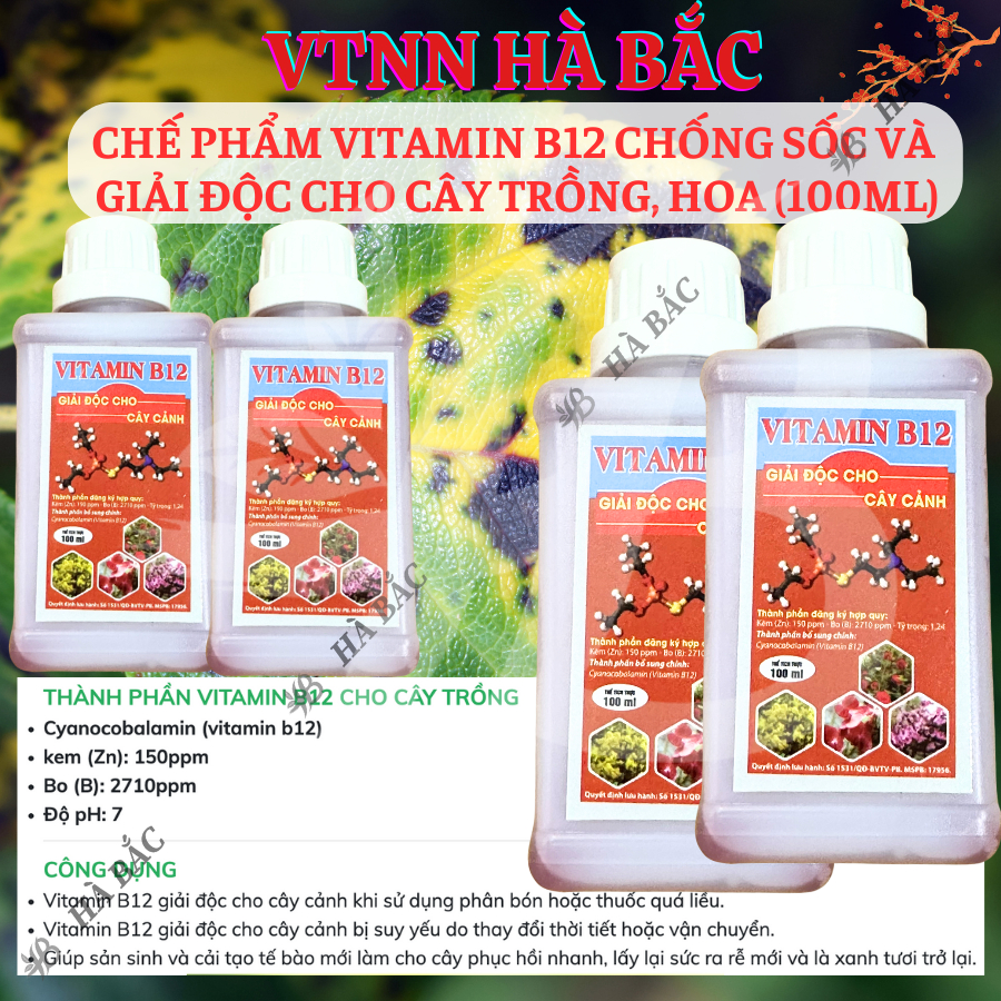 Chế phẩm vitamin B12 chống sốc và giải độc cho cây trồng, hoa kiểng (chai 100ml)