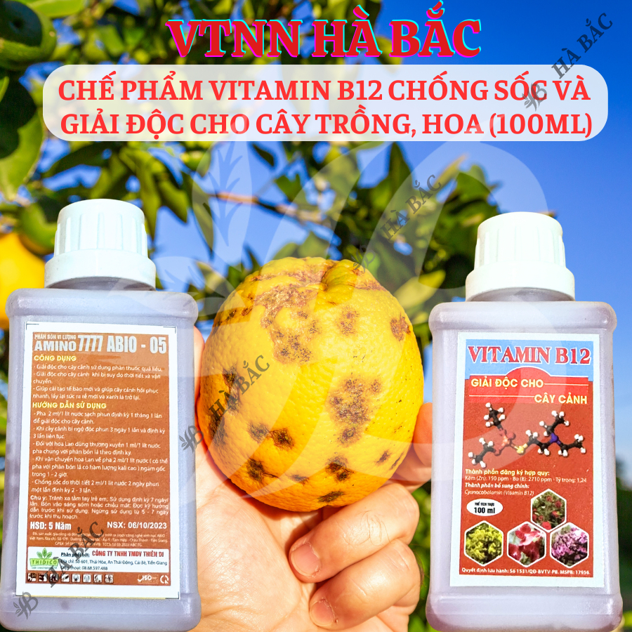 Chế phẩm vitamin B12 chống sốc và giải độc cho cây trồng, hoa kiểng (chai 100ml)