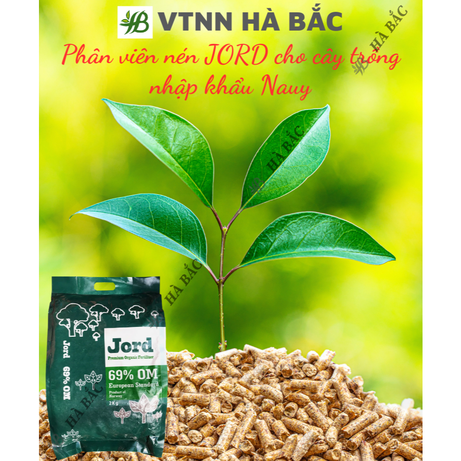 Phân bón hữu cơ Jord nhập khẩu Nauy - chuyên dùng cho cây hoa hồng, hoa mai và cây kiểng (túi 2kg)