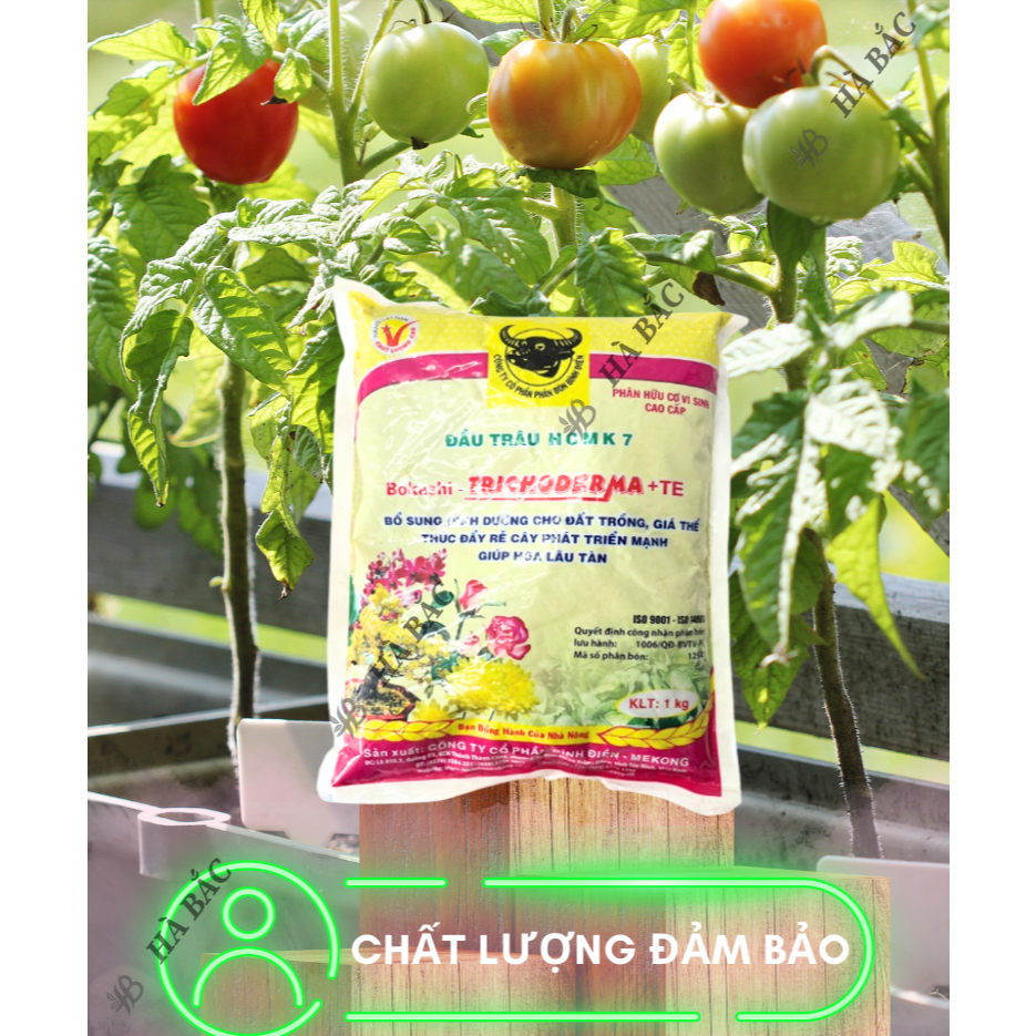 Phân bón đầu trâu hữu cơ vi sinh cao cấp Trichoderma MK7 + TE giúp kháng bệnh và tăng trưởng khỏe cho cây trồng - 1KG