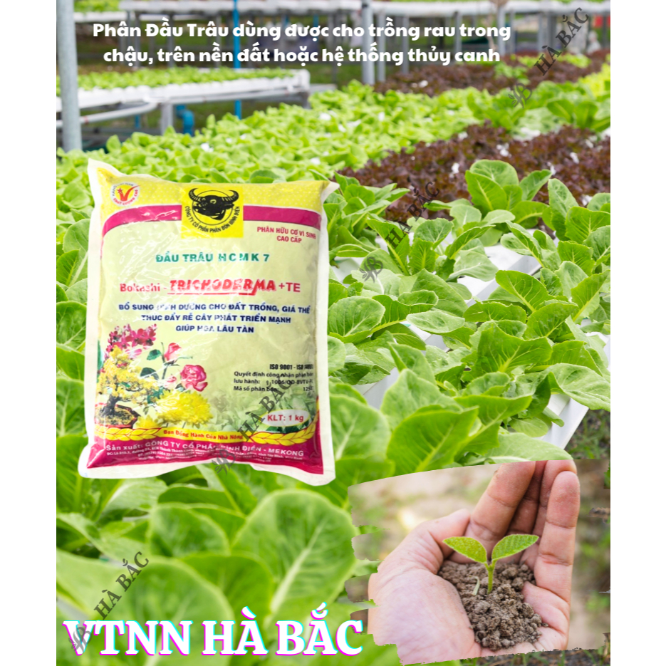Phân bón đầu trâu hữu cơ vi sinh cao cấp Trichoderma MK7 + TE giúp kháng bệnh và tăng trưởng khỏe cho cây trồng - 1KG