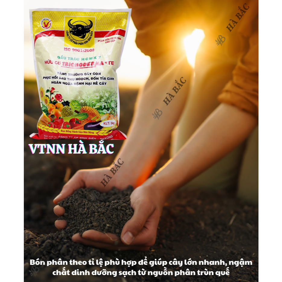 Phân bón đầu trâu hữu cơ vi sinh cao cấp Trichoderma MK7 + TE giúp kháng bệnh và tăng trưởng khỏe cho cây trồng - 5KG