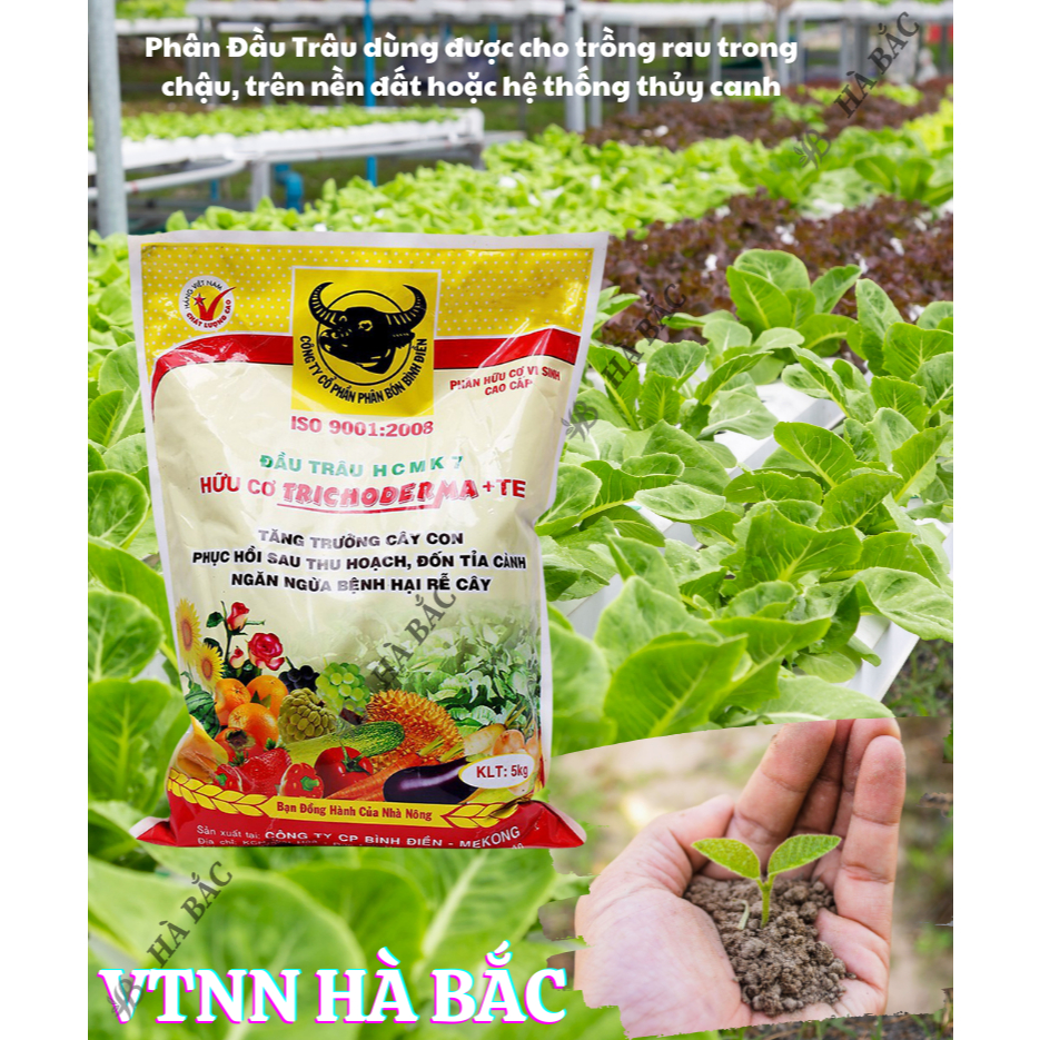 Phân bón đầu trâu hữu cơ vi sinh cao cấp Trichoderma MK7 + TE giúp kháng bệnh và tăng trưởng khỏe cho cây trồng - 5KG
