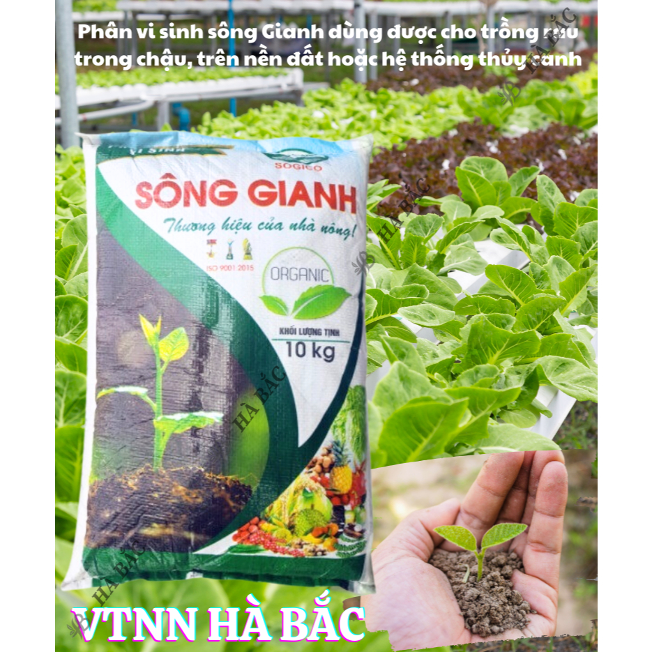 Phân Hữu Cơ Vi Sinh Sông Gianh HC15, Hữu Cơ Cao Cấp Cho Mọi Cây Trồng (10kg)