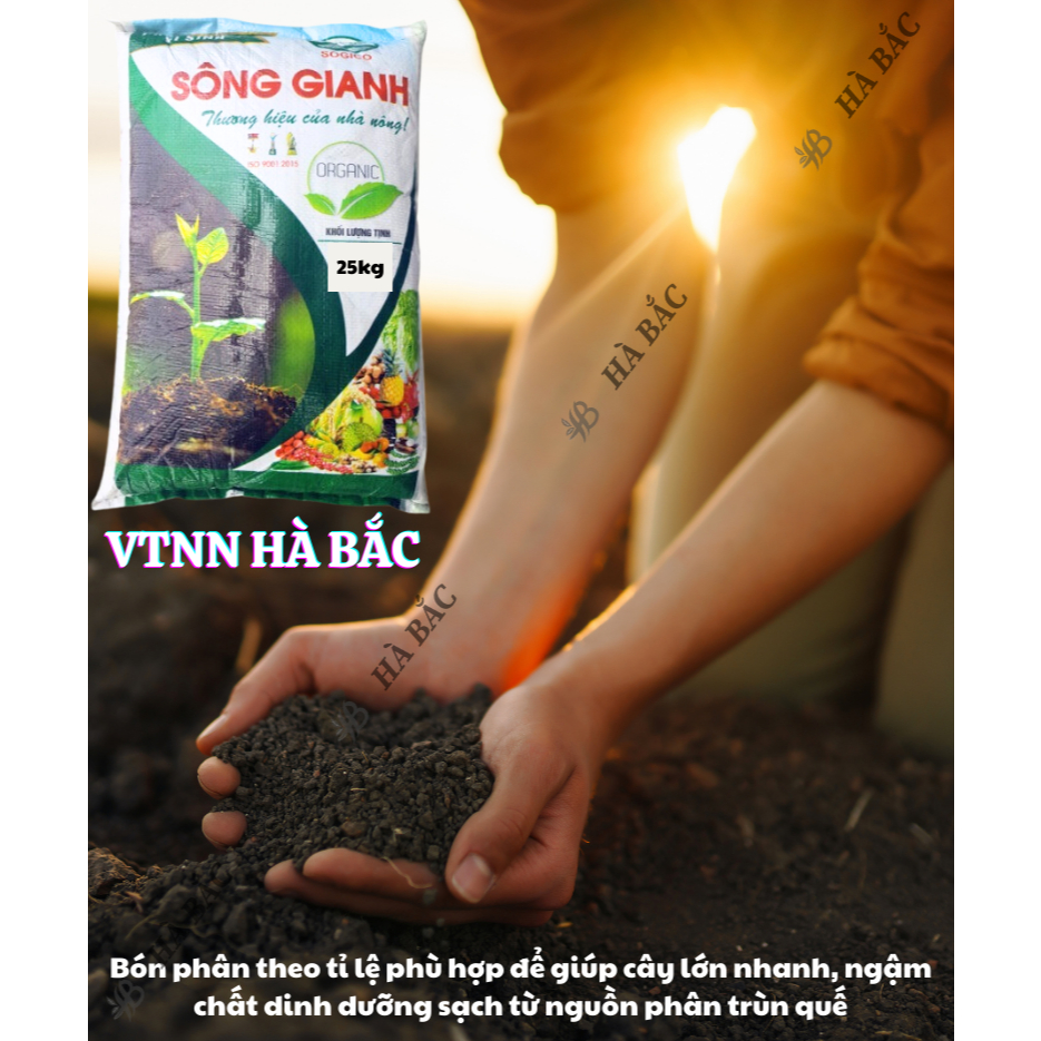 Phân Hữu Cơ Vi Sinh Sông Gianh HC15, Hữu Cơ Cao Cấp Cho Mọi Cây Trồng (25kg)