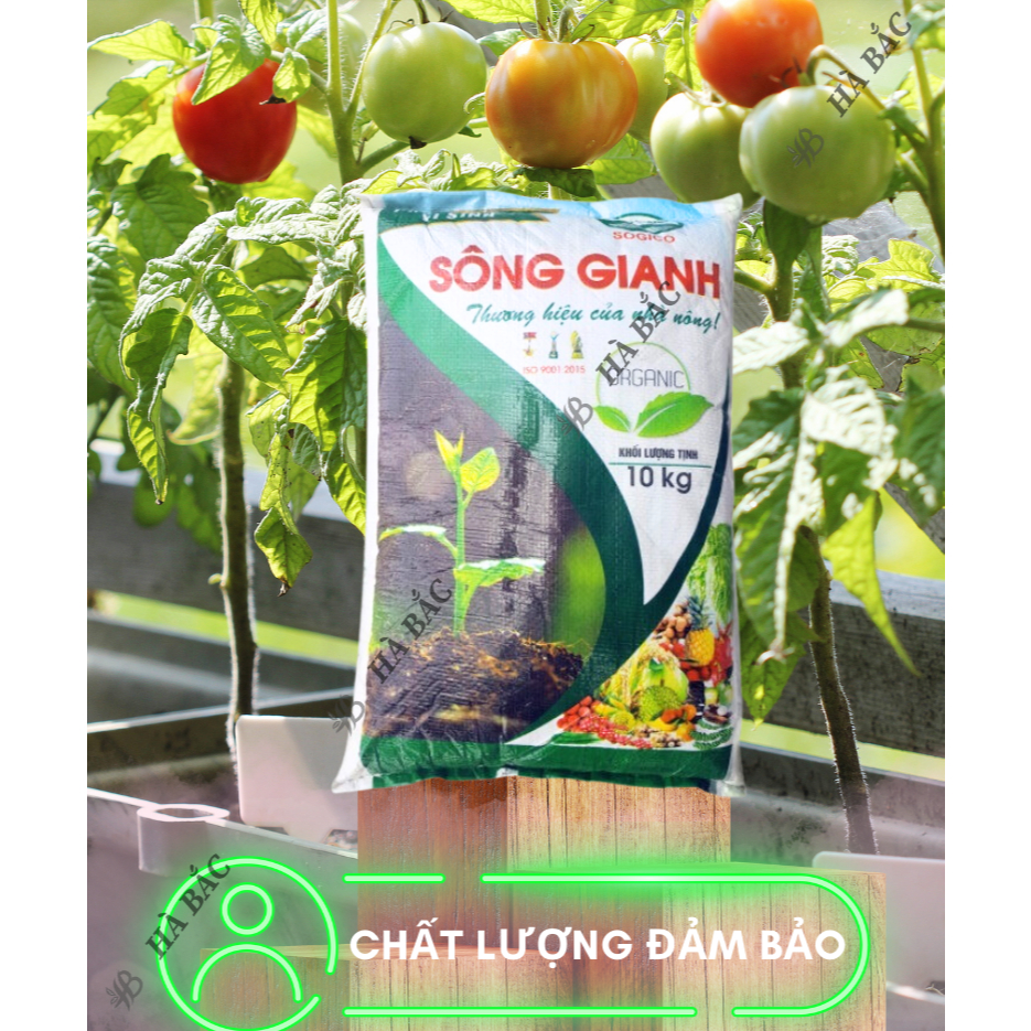 Phân Hữu Cơ Vi Sinh Sông Gianh HC15, Hữu Cơ Cao Cấp Cho Mọi Cây Trồng (10kg)