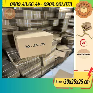 Combo 20 thùng G49 30x24x24 giấy carton gói hàng Everest