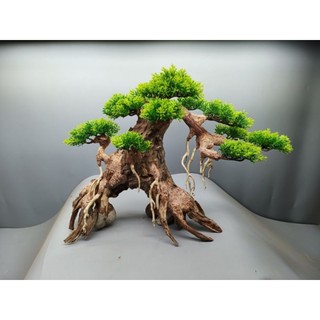 Cây Gỗ Lũa Bonsai dành cho bể cá cảnh, bể thủy sinh dành cho bể 60 cm trở lên. Mẫu dáng Huyền