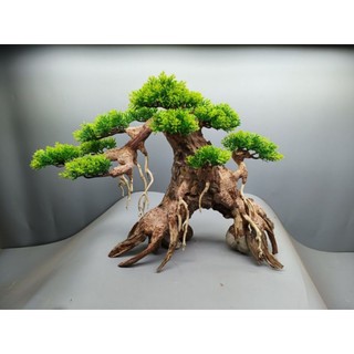 Cây Gỗ Lũa Bonsai dành cho bể cá cảnh, bể thủy sinh dành cho bể 60 cm trở lên. Mẫu dáng Huyền