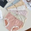 Quần Lót Nữ, Quần lót gấu chất Cotton kháng khuẩn mềm mại