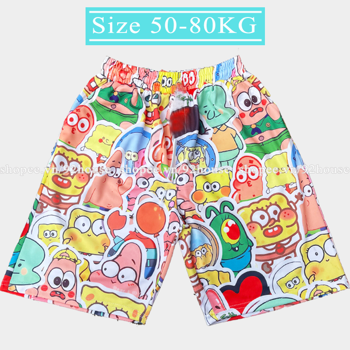 Sponge 50-80KG