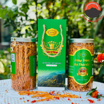 Nấm đông trùng hạ thảo sấy khô thăng hoa Huy Cương (sợi gãy, lọ 50g). Đông trùng hạ thảo ngâm rượu, mật ong, pha trà
