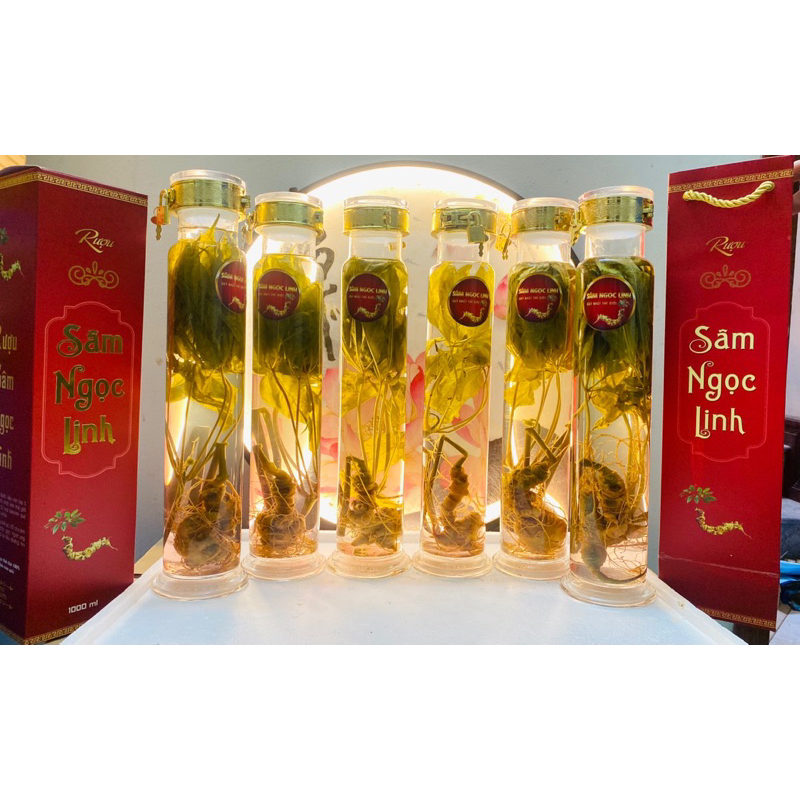 Sâm Ngọc Linh ngâm rượu ngô men lá Tây Bắc - Vị chuẩn sâm tốt cho sức khoẻ( Bình 1.5L dáng đẹp)