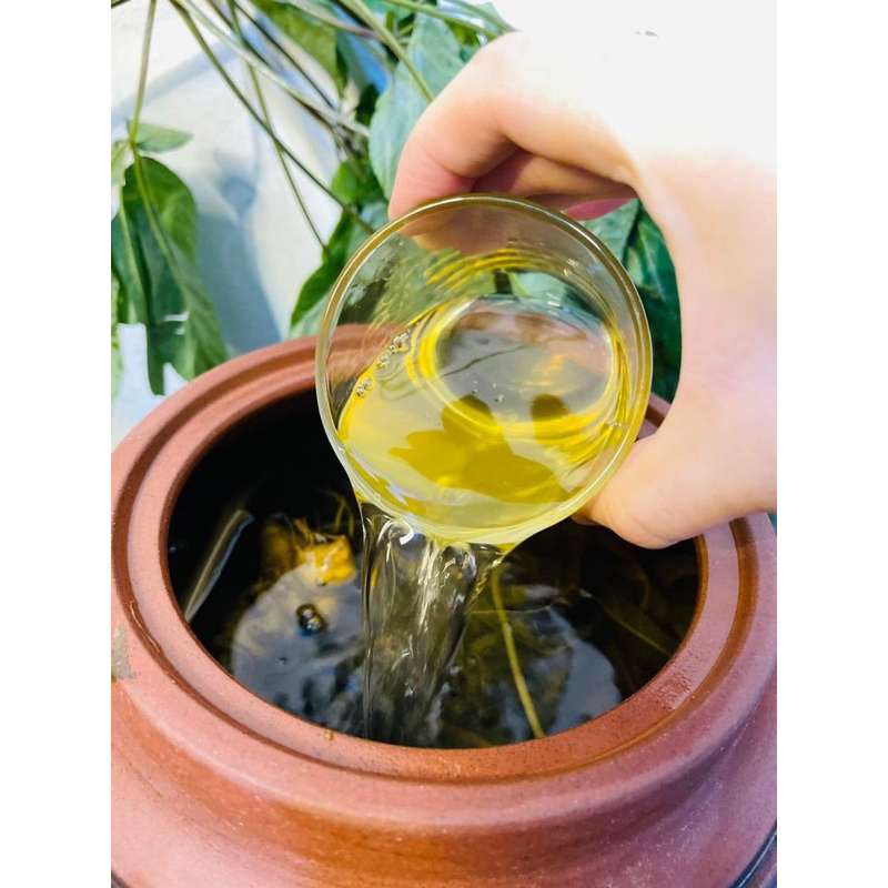 Sâm Ngọc Linh ngâm rượu ngô men lá Tây Bắc - Vị chuẩn sâm tốt cho sức khoẻ( Bình 1.5L dáng đẹp)