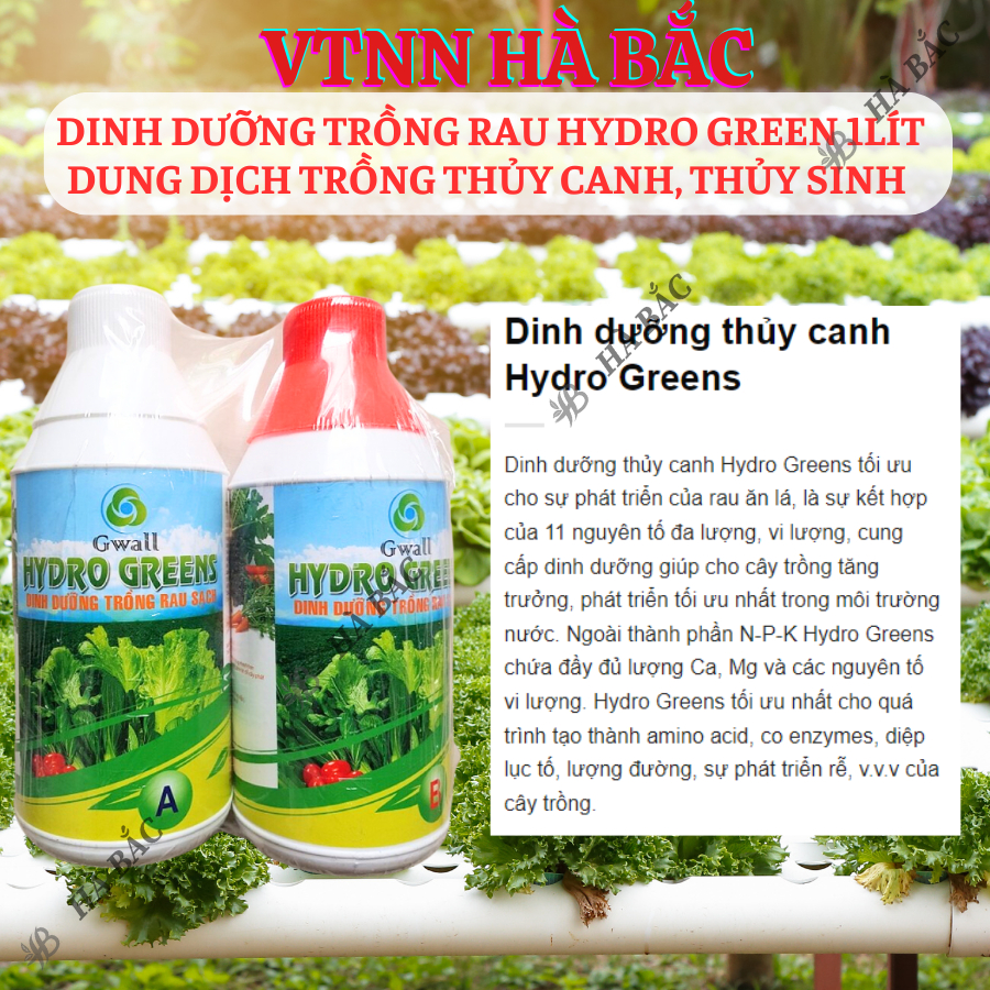 Dinh Dưỡng Trồng Rau Hydro Green 1lít - Dung Dịch Trồng Thủy Canh, Thủy Sinh (Cặp 1 Lít)