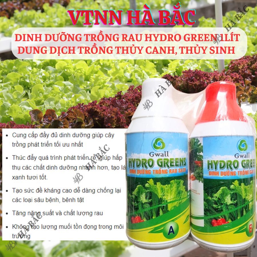 Dinh Dưỡng Trồng Rau Hydro Green 1lít - Dung Dịch Trồng Thủy Canh, Thủy Sinh (Cặp 1 Lít)