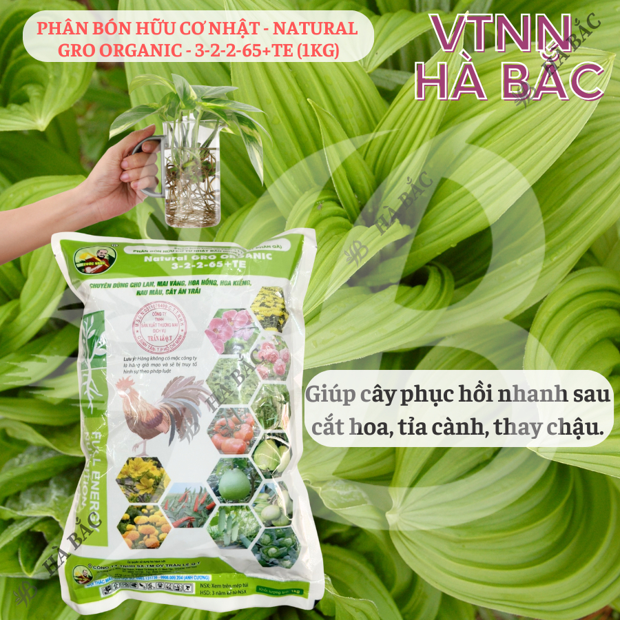 Phân Bón Hữu Cơ Nhật Cuốc Vàng - Natural Gro Organic 3-2-2-65+Te, dùng cho hoa mai, hoa hồng cây kiểng (túi 1kg)