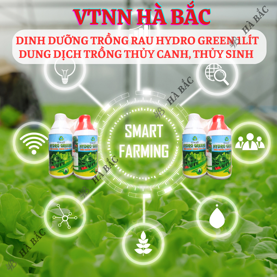 Dinh Dưỡng Trồng Rau Hydro Green 1lít - Dung Dịch Trồng Thủy Canh, Thủy Sinh (Cặp 1 Lít)