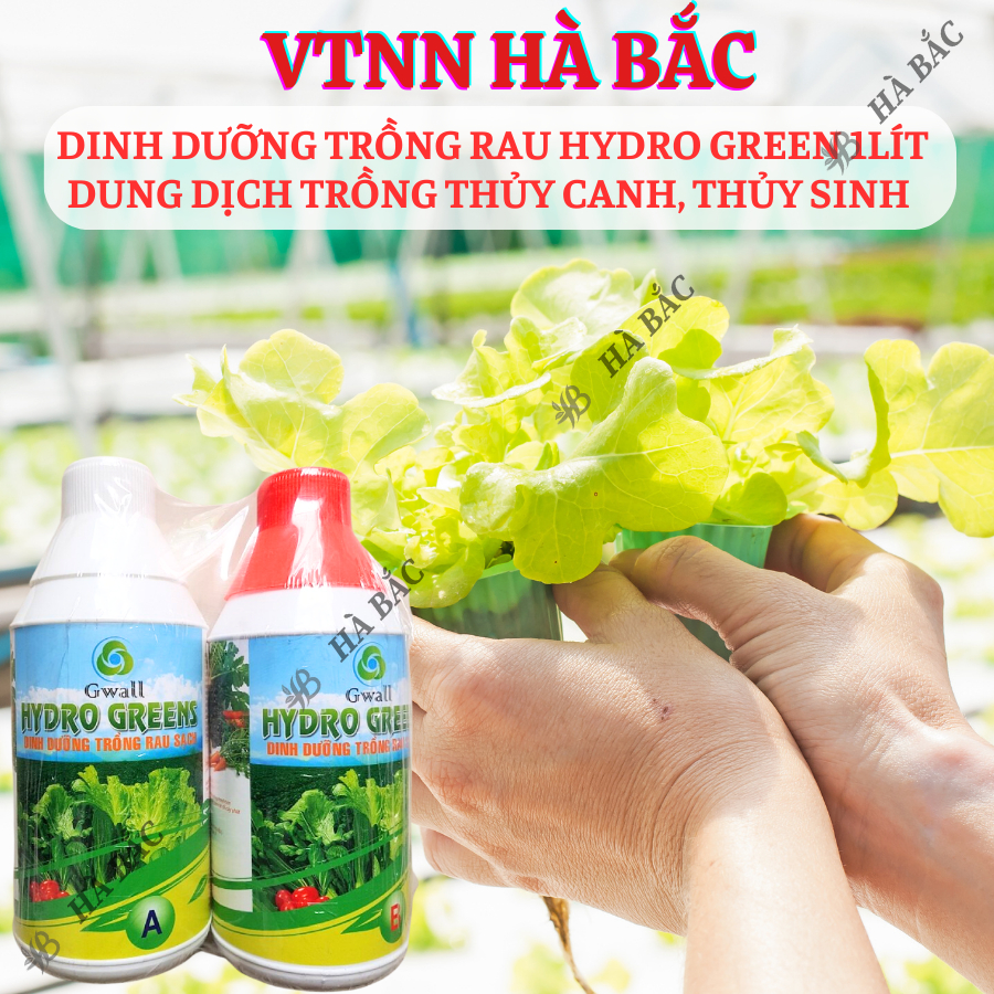 Dinh Dưỡng Trồng Rau Hydro Green 1lít - Dung Dịch Trồng Thủy Canh, Thủy Sinh (Cặp 1 Lít)