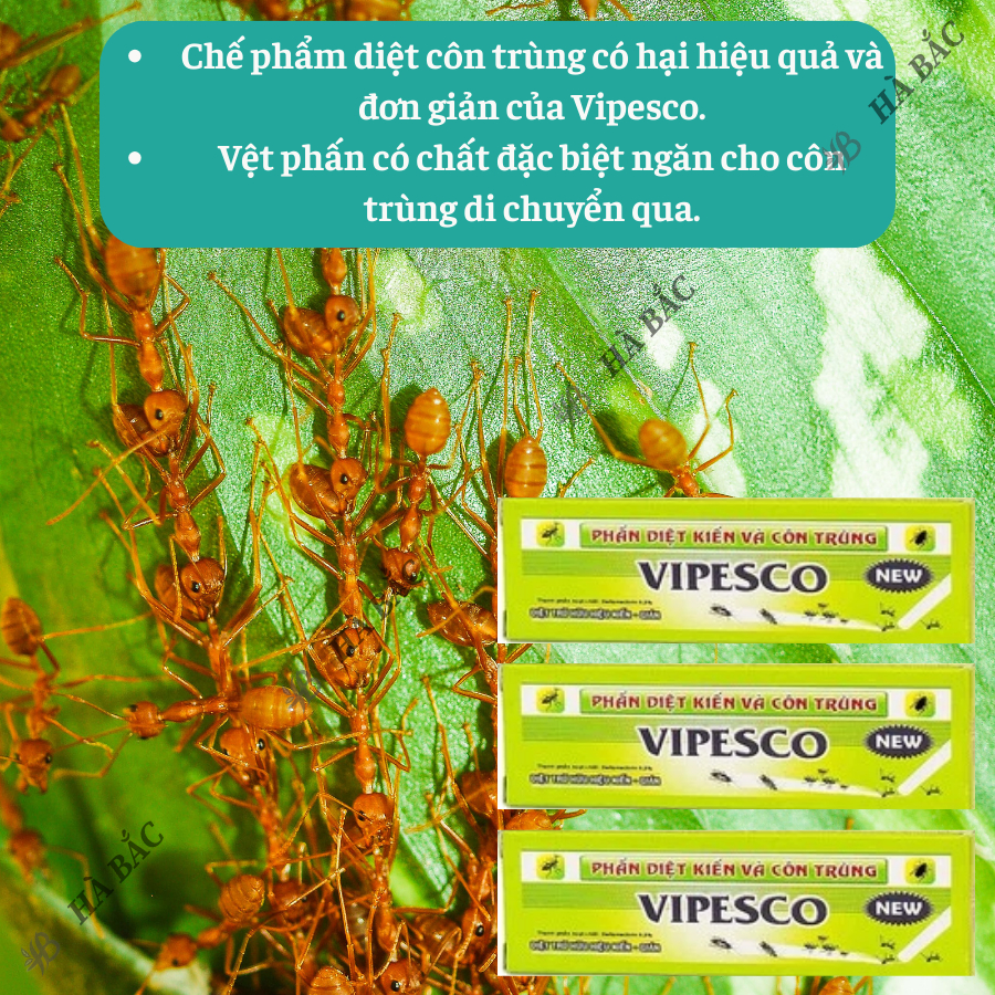 Phấn Vẽ Diệt Kiến Và Côn Trùng (2 Viên/Hộp) - Diệt Trừ Kiến Hiệu Quả