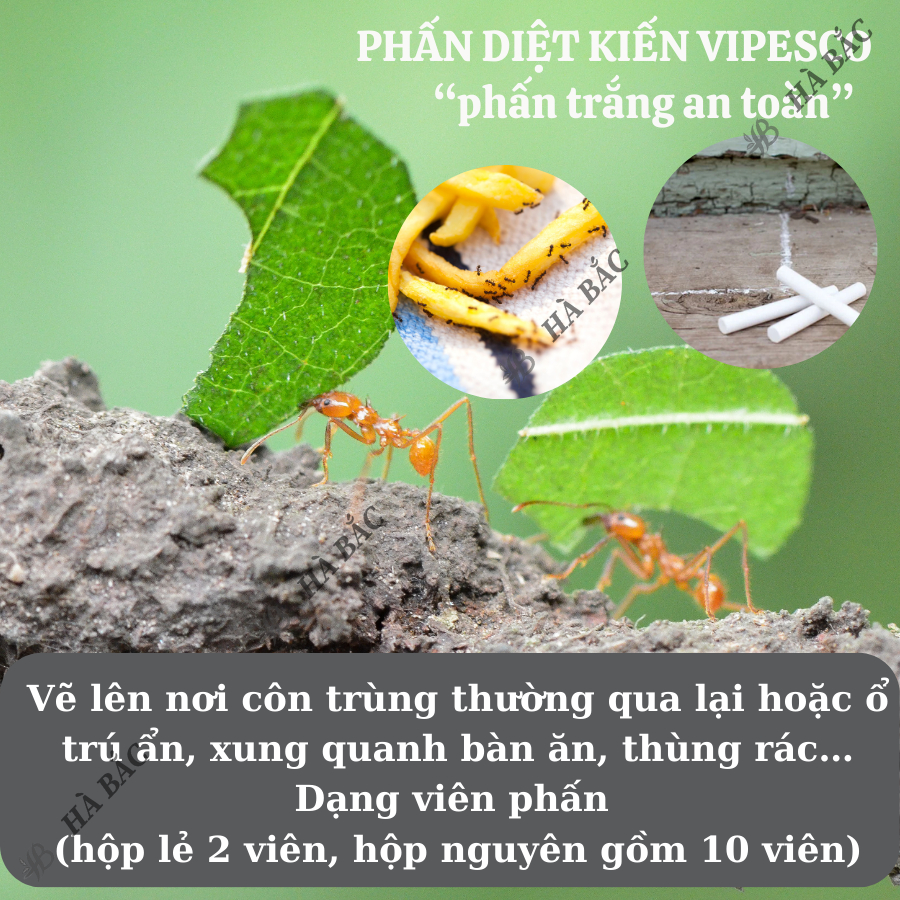 Phấn Vẽ Diệt Kiến Và Côn Trùng (2 Viên/Hộp) - Diệt Trừ Kiến Hiệu Quả