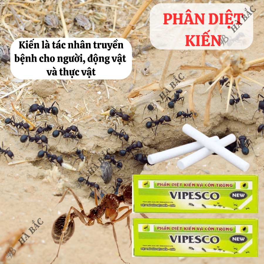 Phấn Vẽ Diệt Kiến Và Côn Trùng (2 Viên/Hộp) - Diệt Trừ Kiến Hiệu Quả