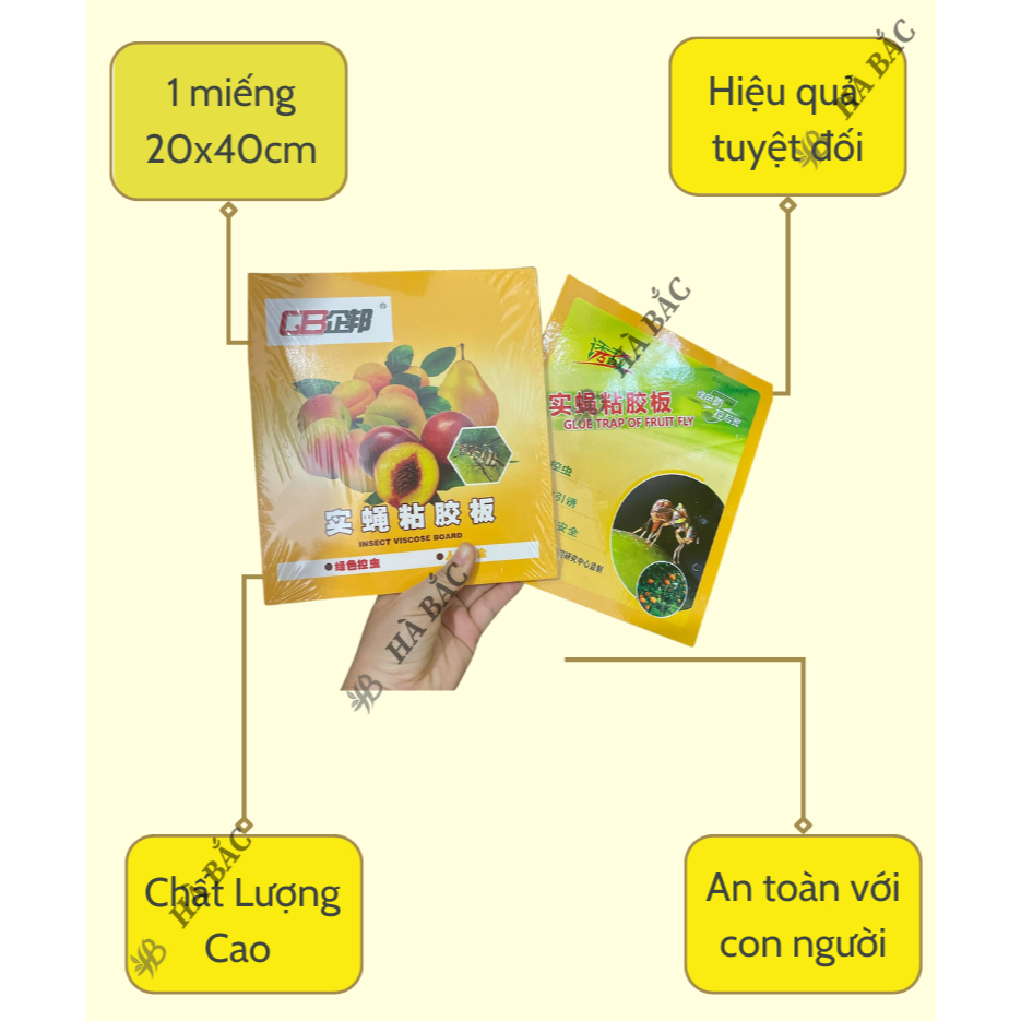Keo bẫy ruồi vàng kích thước 20x40cm, dính các loại ruồi gây hại cho cây và các côn trùng chích hút
