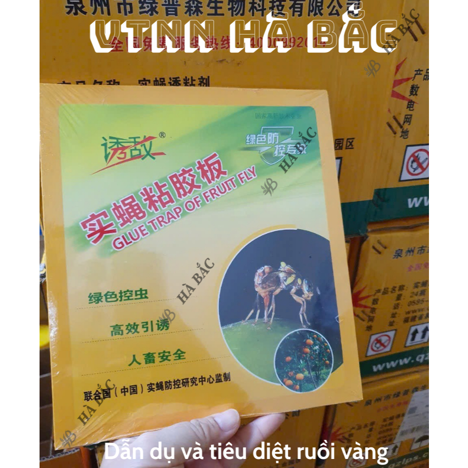 Keo bẫy ruồi vàng kích thước 20x40cm, dính các loại ruồi gây hại cho cây và các côn trùng chích hút