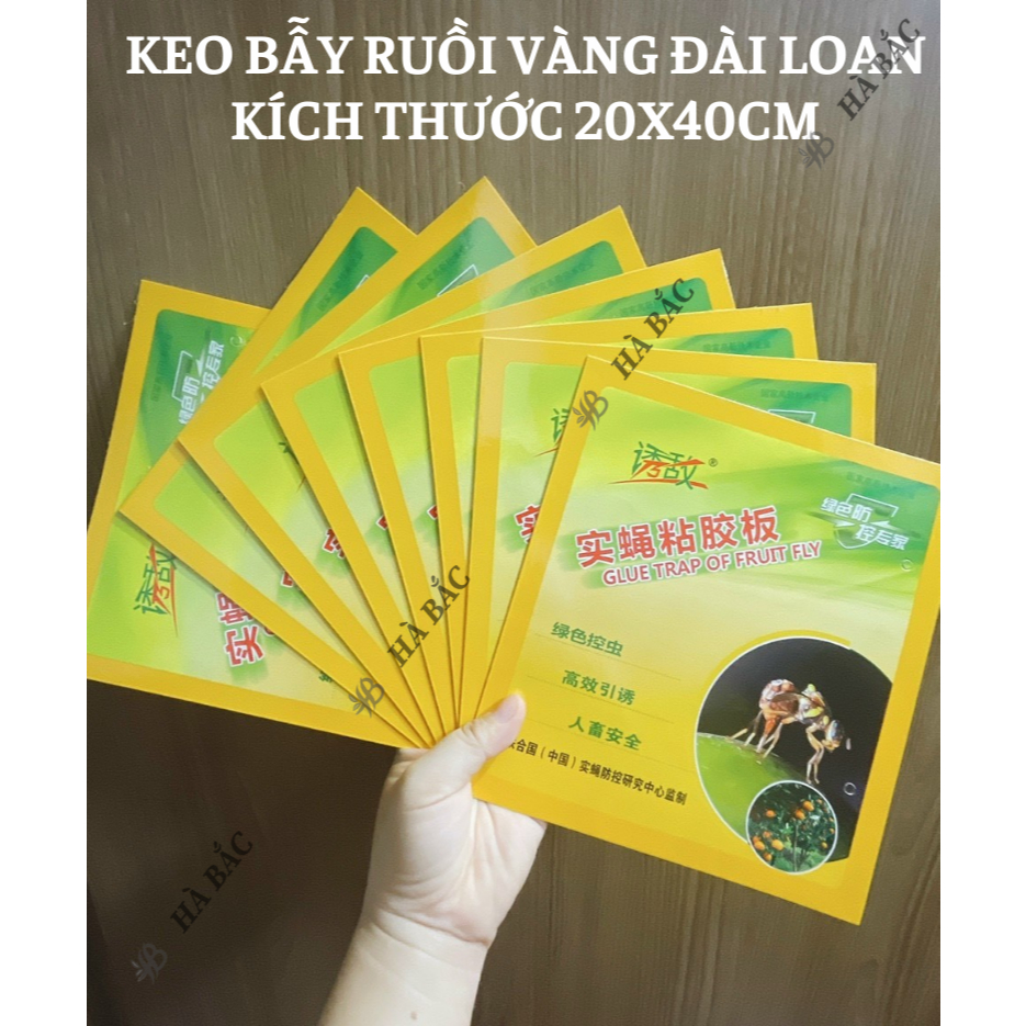 Keo bẫy ruồi vàng kích thước 20x40cm, dính các loại ruồi gây hại cho cây và các côn trùng chích hút