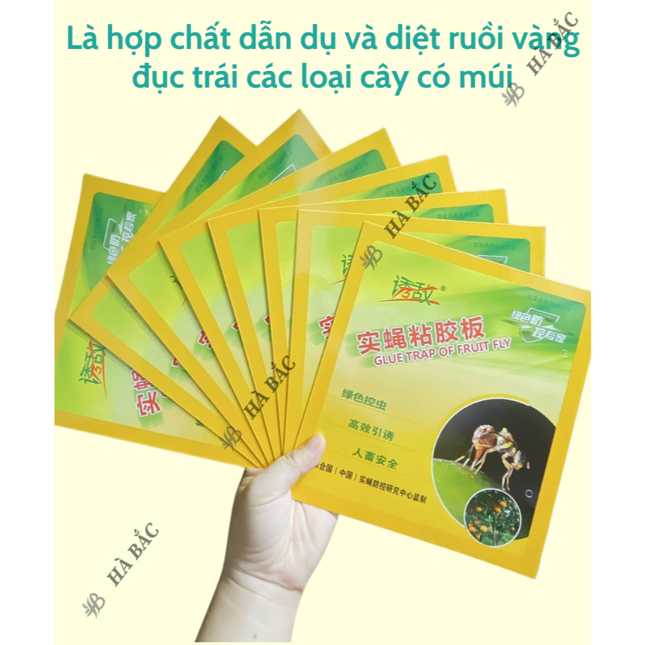 Keo bẫy ruồi vàng kích thước 20x40cm, dính các loại ruồi gây hại cho cây và các côn trùng chích hút