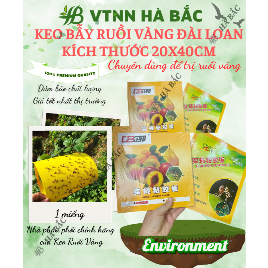 Keo bẫy ruồi vàng kích thước 20x40cm, dính các loại ruồi gây hại cho cây và các côn trùng chích hút