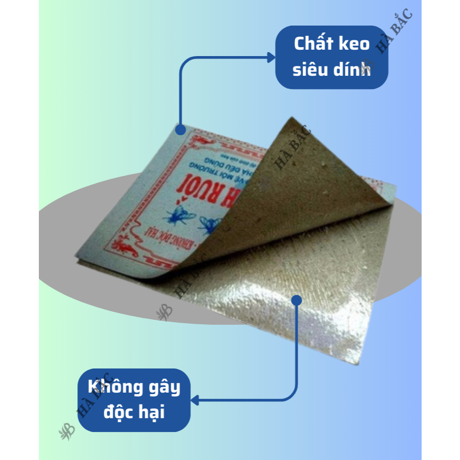 [COMBO 5 MIẾNG] Keo Dính Ruồi 2 Mặt Siêu Dính, Dính Chuột, miếng to, Nhiều Keo