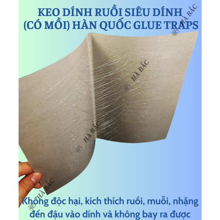 Keo dính ruồi Siêu Dính (có mồi), Miếng keo dán ruồi, Miếng bẫy ruồi HÀN QUỐC Glue Traps [Hàng chính hãng]
