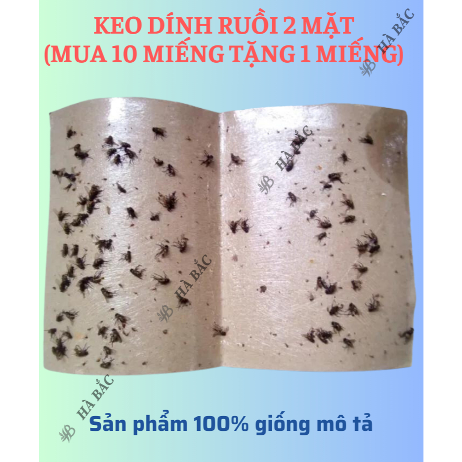 [COMBO 5 MIẾNG] Keo Dính Ruồi 2 Mặt Siêu Dính, Dính Chuột, miếng to, Nhiều Keo