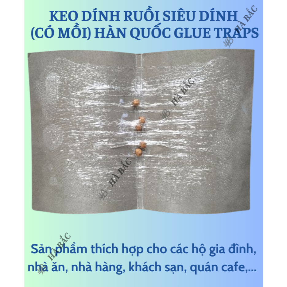 Keo dính ruồi Siêu Dính (có mồi), Miếng keo dán ruồi, Miếng bẫy ruồi HÀN QUỐC Glue Traps [Hàng chính hãng]