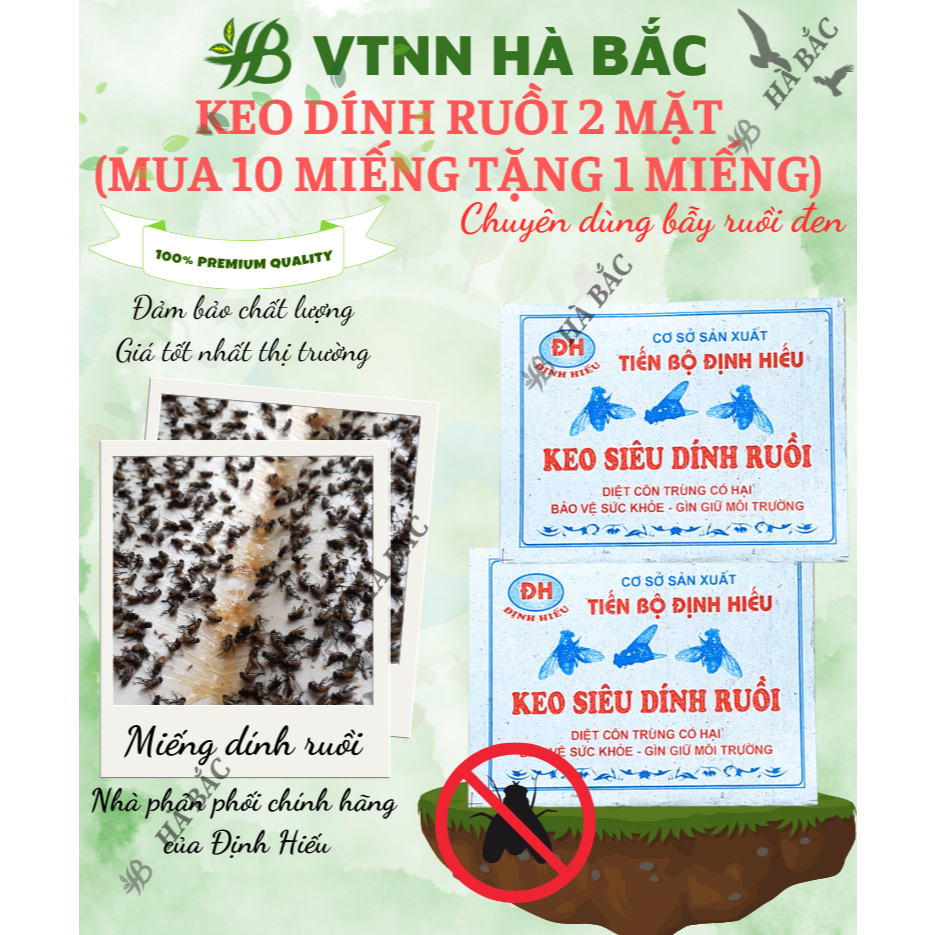 [COMBO 5 MIẾNG] Keo Dính Ruồi 2 Mặt Siêu Dính, Dính Chuột, miếng to, Nhiều Keo