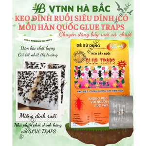 Keo dính ruồi Siêu Dính (có mồi), Miếng keo dán ruồi, Miếng bẫy ruồi HÀN QUỐC Glue Traps [Hàng chính hãng]
