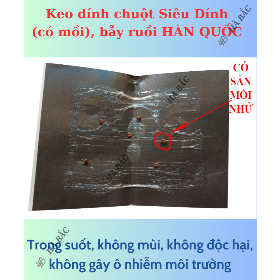 Keo dính chuột Siêu Dính (có mồi), Miếng keo dán chuột, Miếng bẫy chuột, bẫy ruồi Hàn Quốc [Hàng chính hãng]