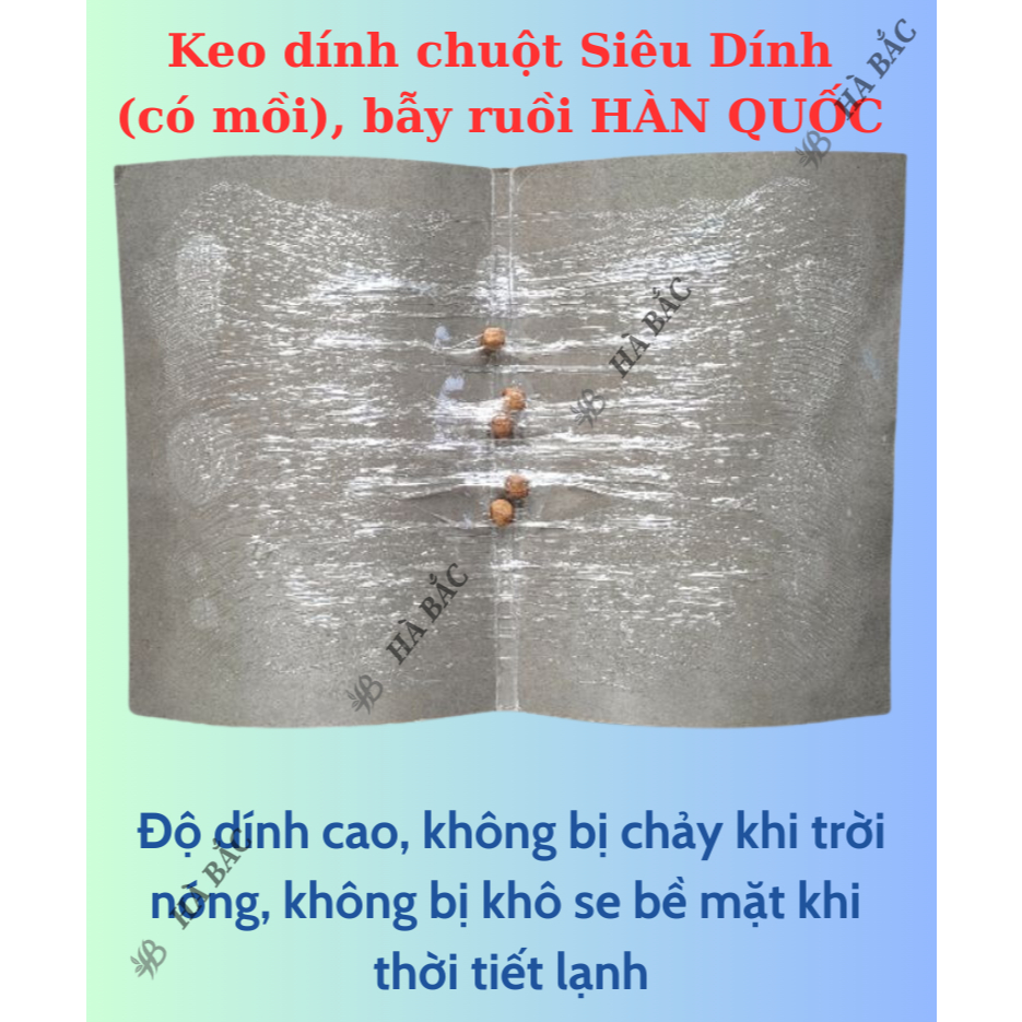 Keo dính chuột Siêu Dính (có mồi), Miếng keo dán chuột, Miếng bẫy chuột, bẫy ruồi Hàn Quốc [Hàng chính hãng]