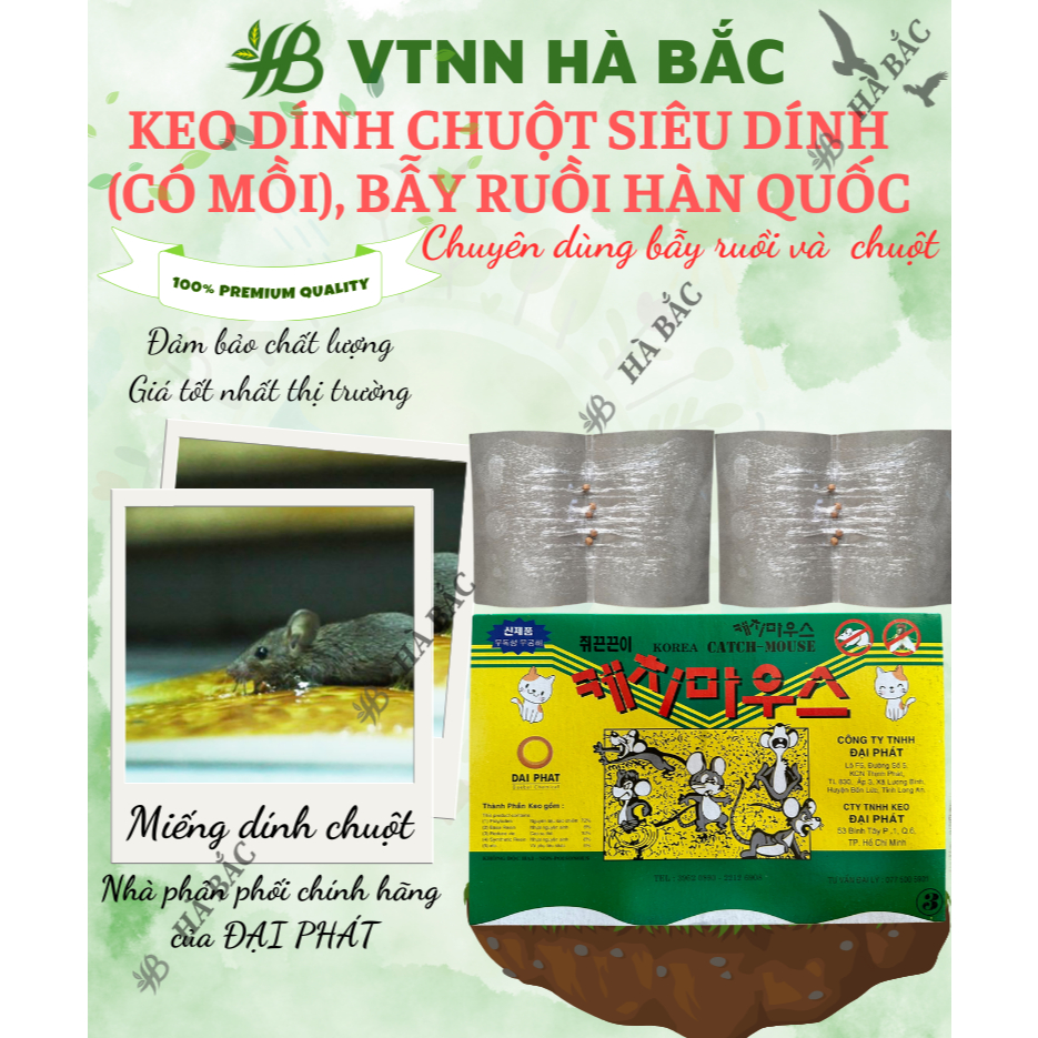 Keo dính chuột Siêu Dính (có mồi), Miếng keo dán chuột, Miếng bẫy chuột, bẫy ruồi Hàn Quốc [Hàng chính hãng]