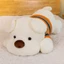 Gấu Bông Chó Áo Len Xinh Xắn Đáng Yêu Thú Bông Thú Nhồi Bông Toy Đồ Chơi